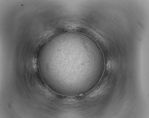 X0000111861156200907301125