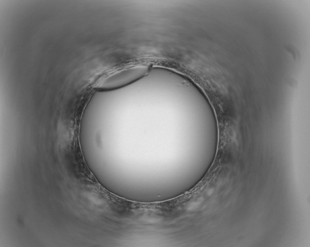 X0000111861157200907301125