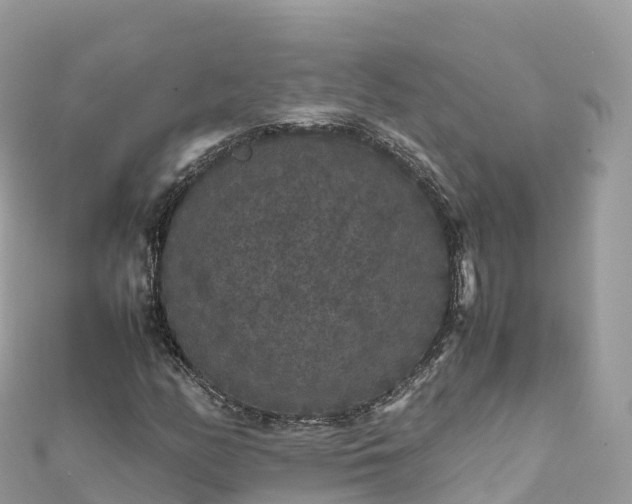 X0000111861158200907301125