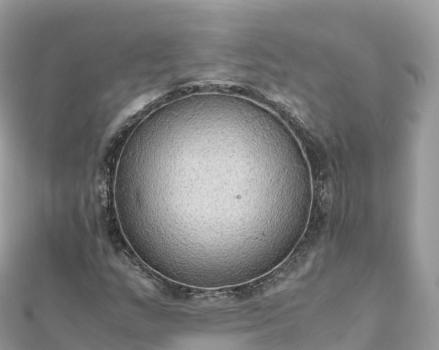 X0000111861159200907301125