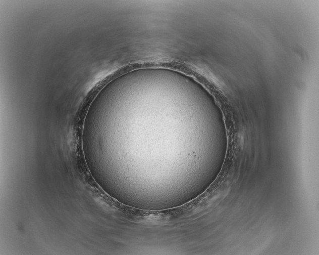 X0000111861160200907301125