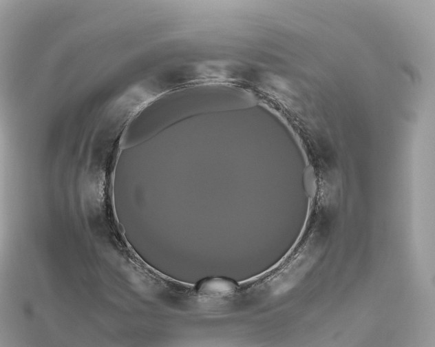 X0000111861161200907301125