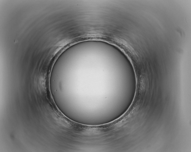 X0000111861162200907301125