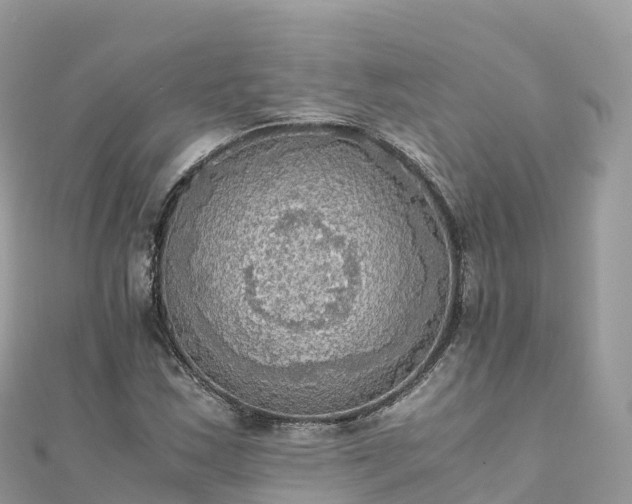 X0000111861163200907301125