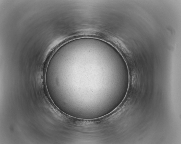 X0000111861164200907301125