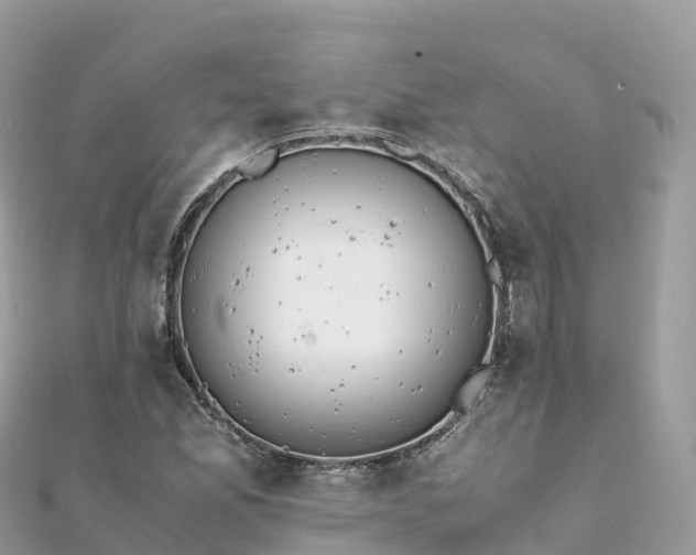 X0000111861165200907301125