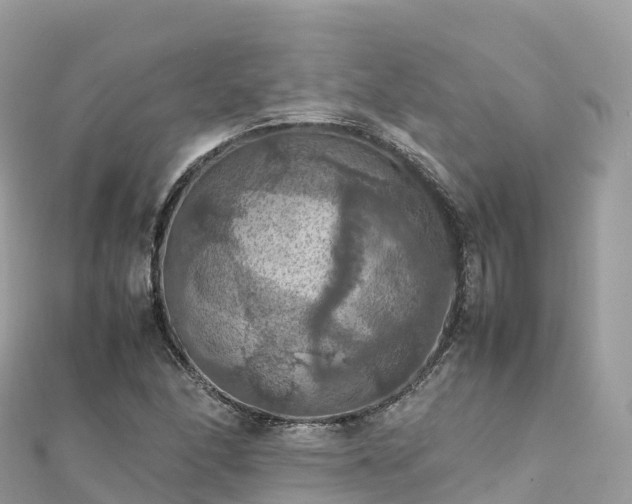 X0000111861166200907301125