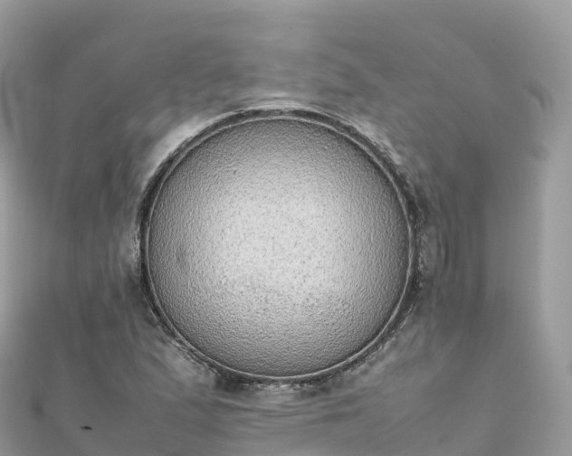 X0000111861167200907301125