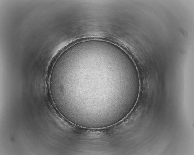 X0000111861168200907301125