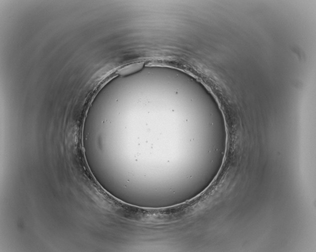 X0000111861169200907301125