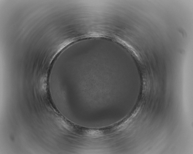 X0000111861170200907301125