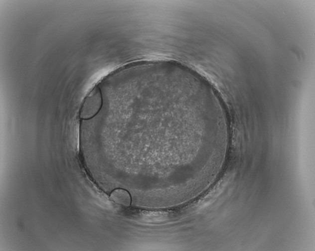 X0000111861171200907301125