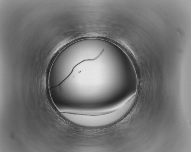 X0000111861173200907301125