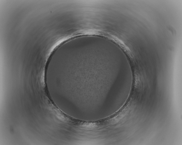 X0000111861174200907301125