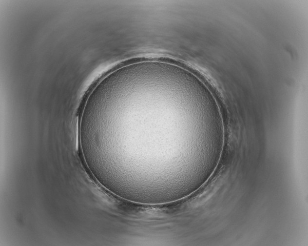 X0000111861175200907301125