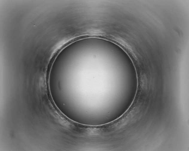 X0000111861176200907301125