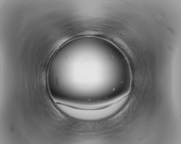 X0000111861177200907301125