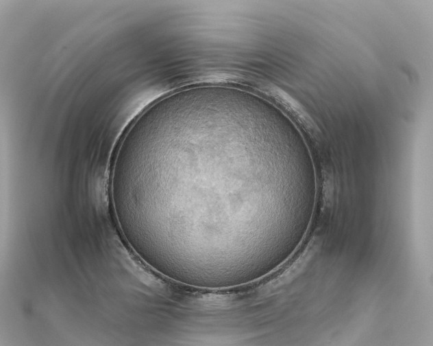 X0000111861178200907301125