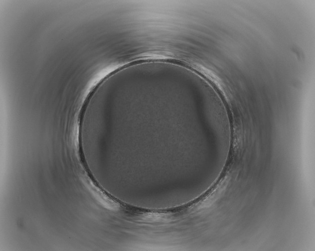 X0000111861179200907301125