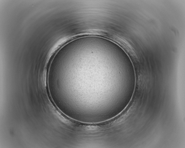 X0000111861180200907301125