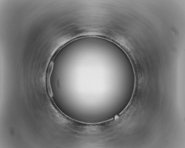 X0000111861181200907301125