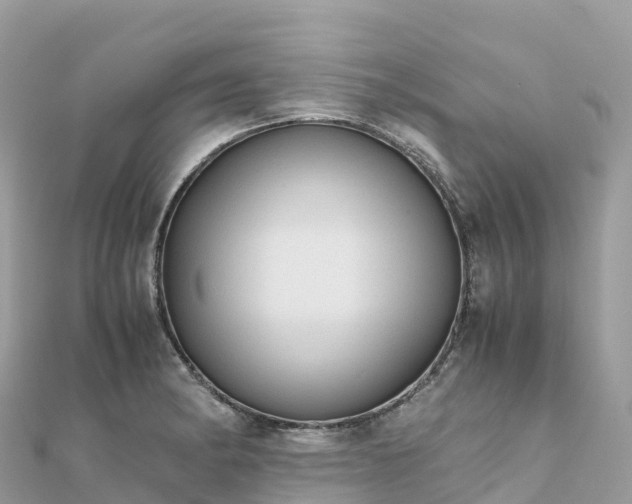 X0000111861182200907301125