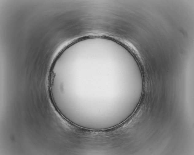 X0000111861183200907301125