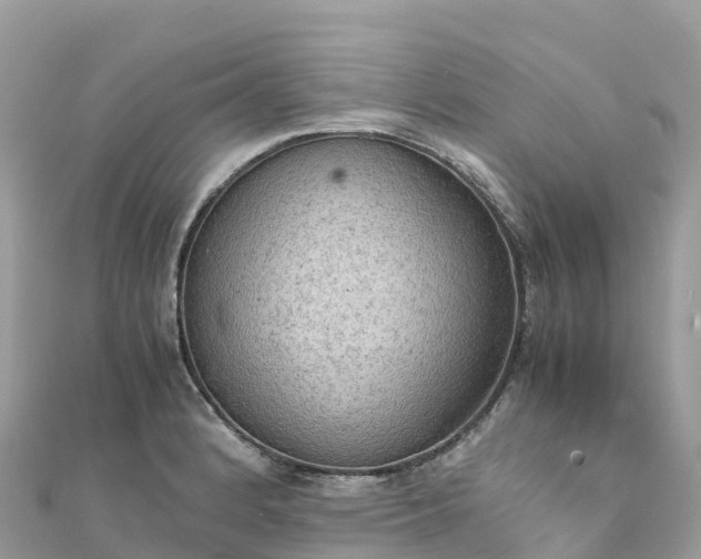 X0000111861184200907301125