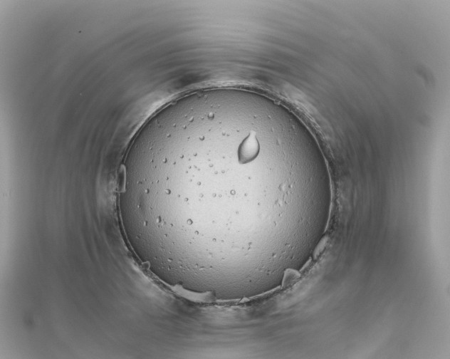 X0000111861185200907301125