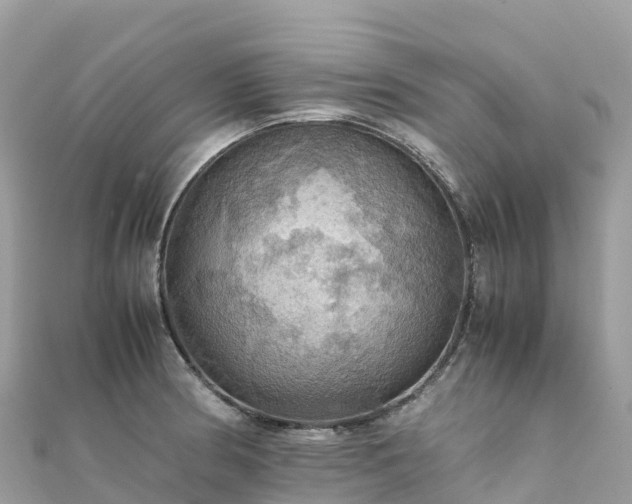 X0000111861186200907301125