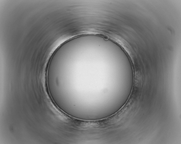 X0000111861187200907301125