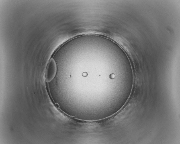 X0000111861189200907301125