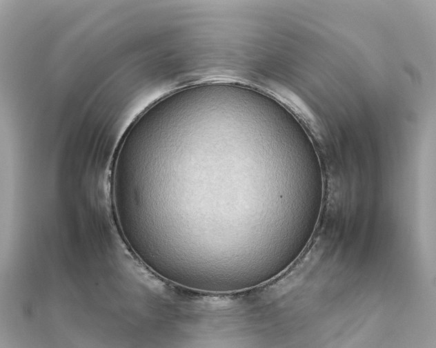 X0000111861190200907301125