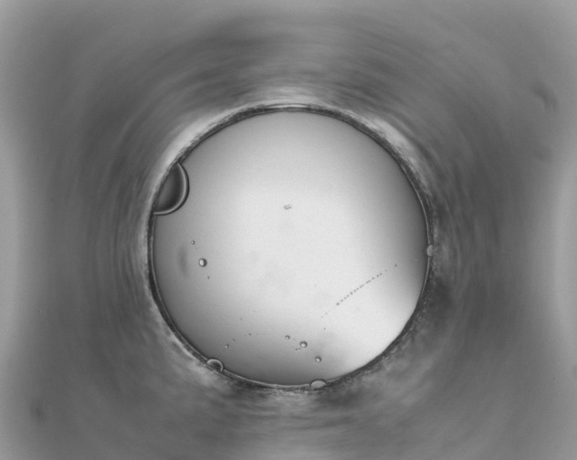 X0000111861191200907301125