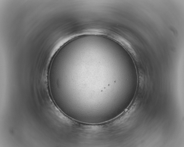 X0000111861192200907301125