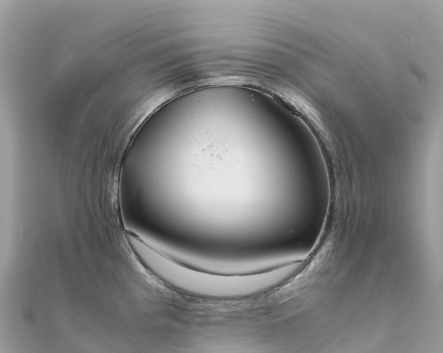 X0000111861193200907301125