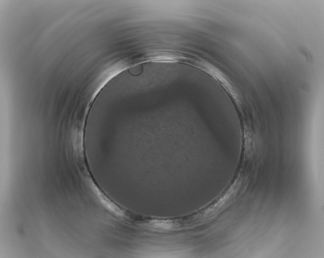 X0000111861194200907301125