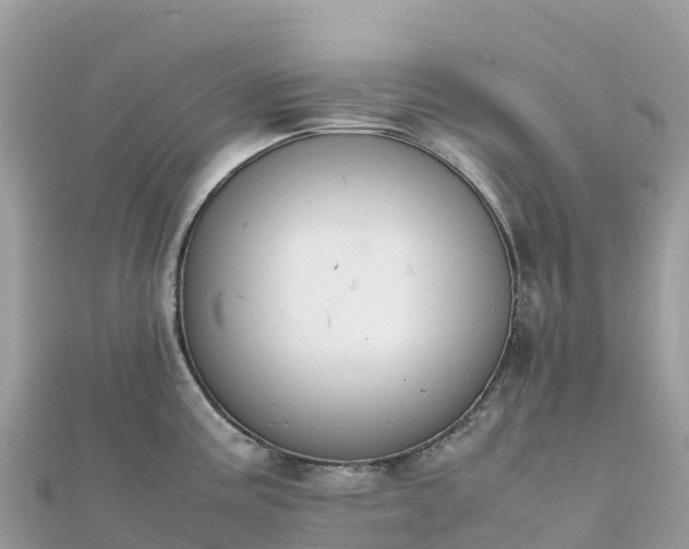 X0000111861195200907301125