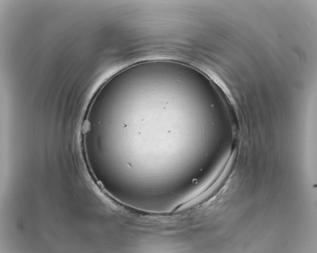 X0000111861197200907301125