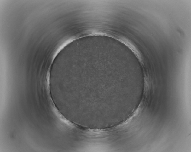 X0000111861198200907301125