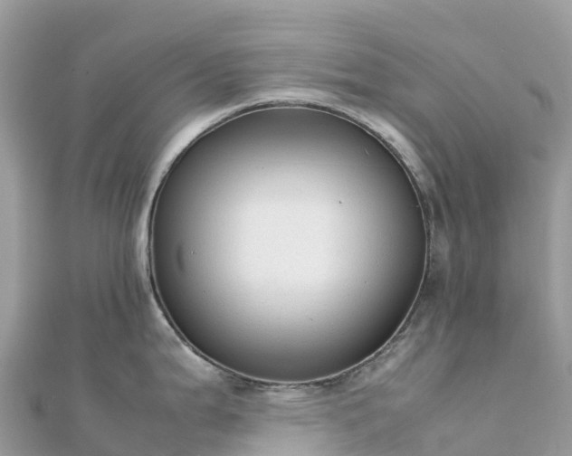 X0000111861199200907301125