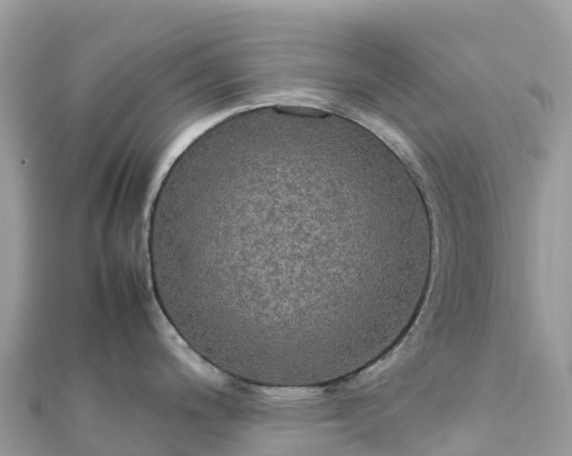 X0000111861200200907301125