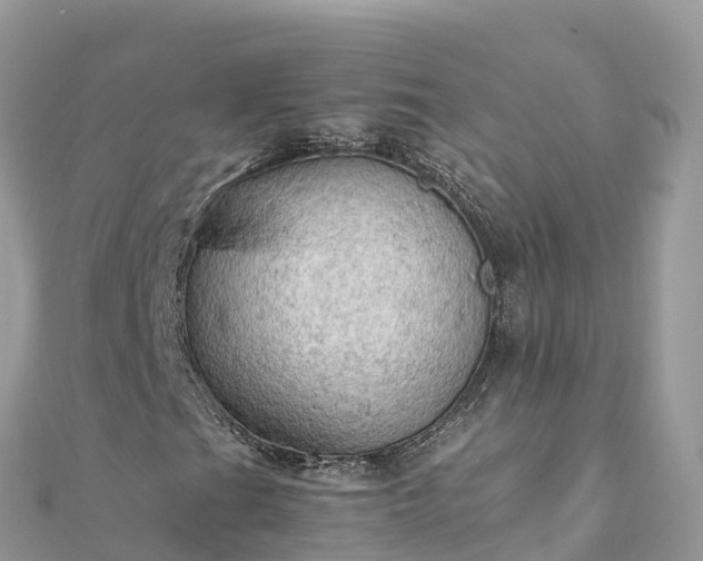 X0000111861201200907301124