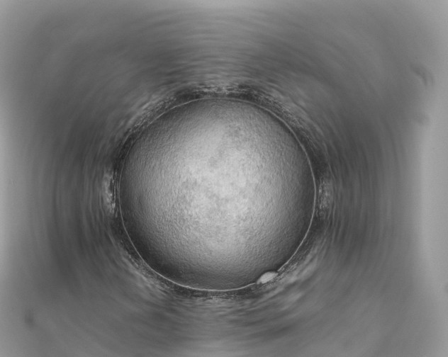 X0000111861202200907301124