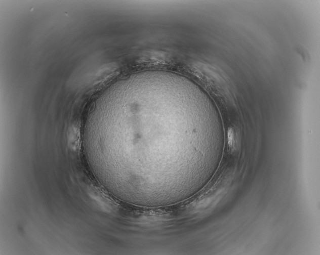 X0000111861203200907301124