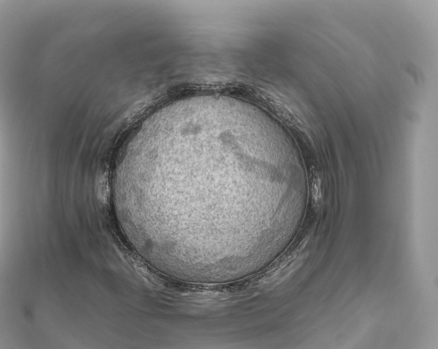 X0000111861204200907301124