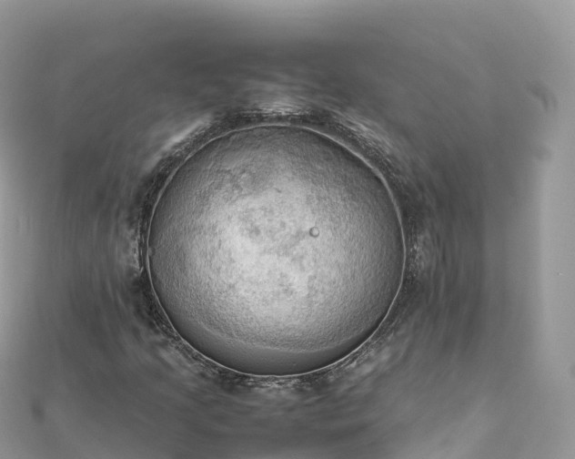 X0000111861205200907301124