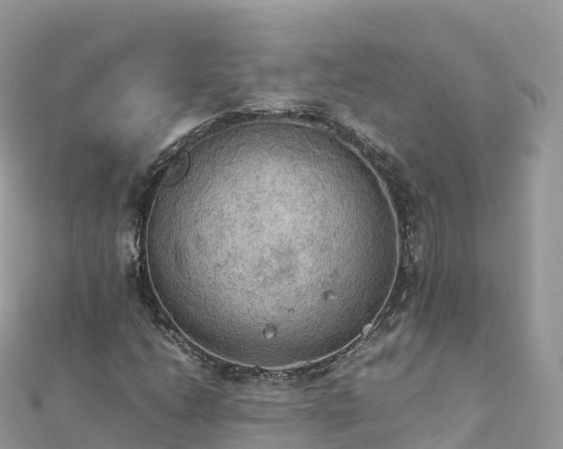 X0000111861206200907301124