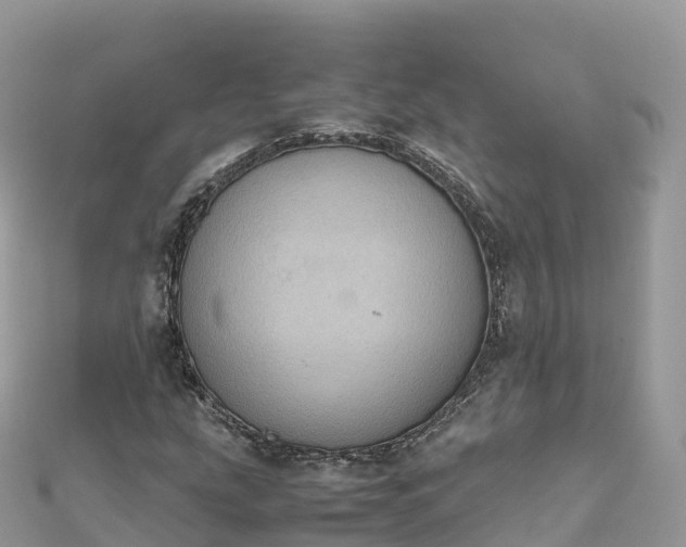 X0000111861207200907301124