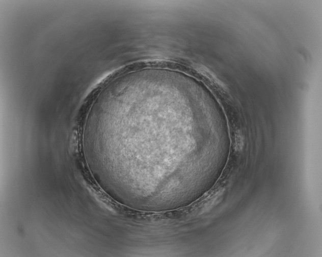 X0000111861208200907301124